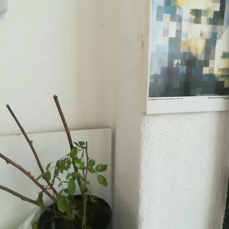 Freelisbonstudio