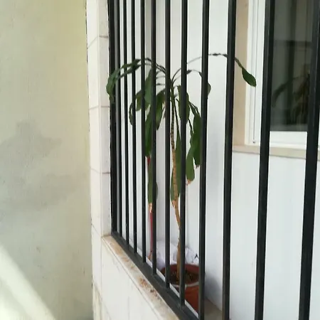 Appartement Freelisbonstudio Lisboa
